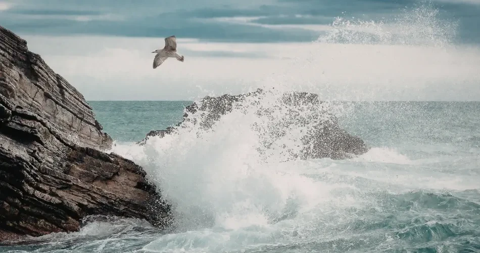 Morro Bay, California Hidden Gems: Local Favorites You Shouldn’t Miss