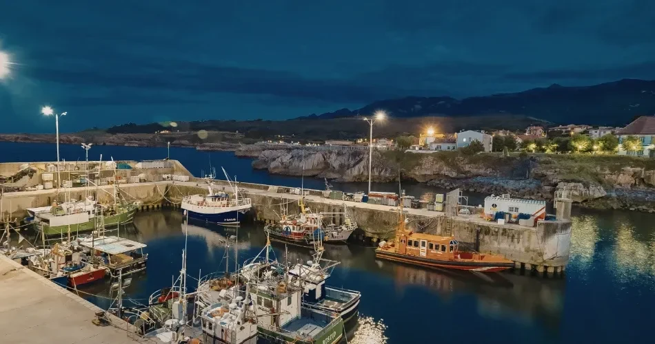 Morro Bay Travel Guide: Top Attractions, Beaches & Local Favorites